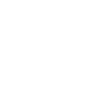 SpyFollowers logo